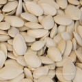 Exportar semillas de calabaza con cáscara